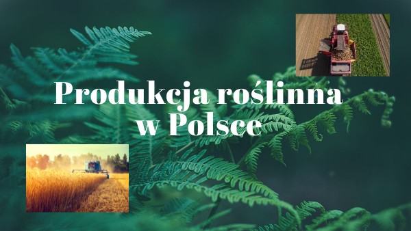 Produkcja Roślinna W Polsce Notatka