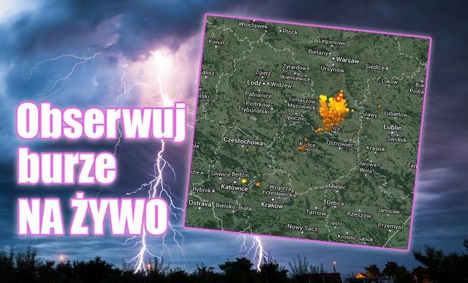 Burza W Mózgu Nastolatków Pdf