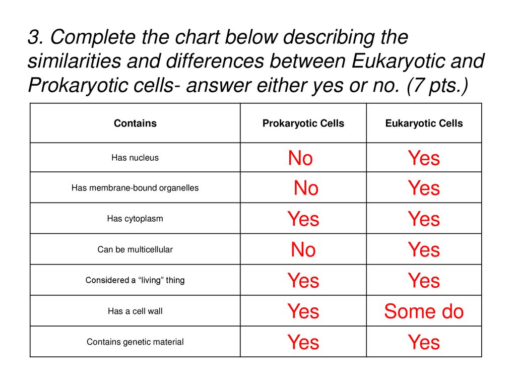 Pogil Prokaryotic And Eukaryotic Cells Answer Key