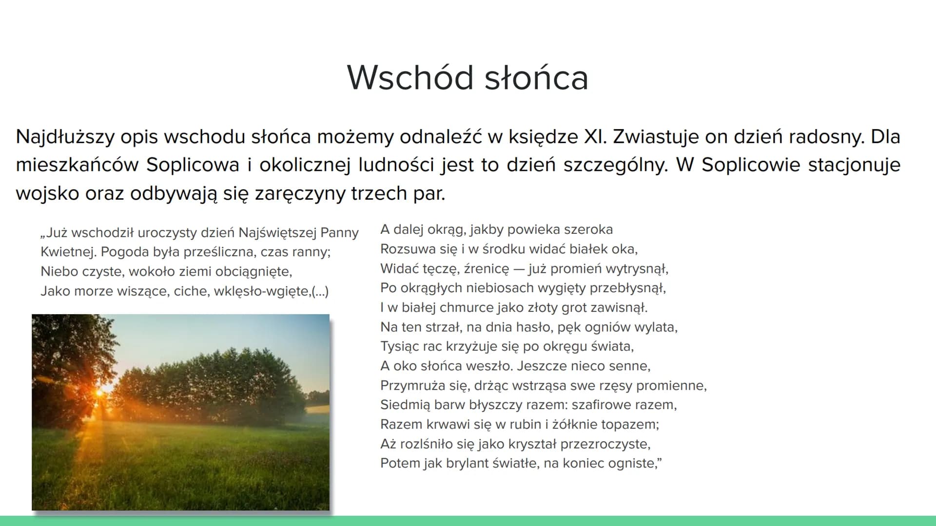Opis Przyrody W Panu Tadeuszu
