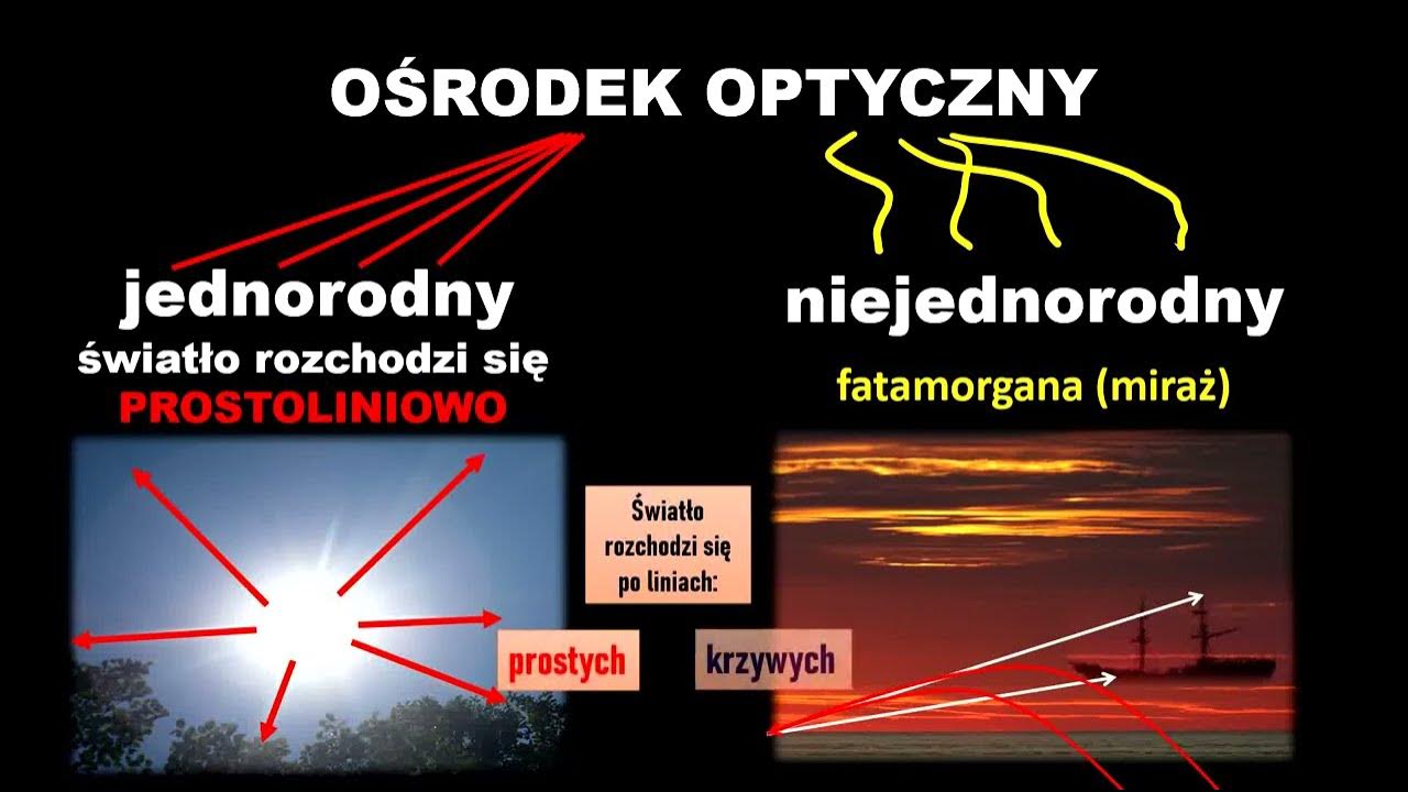 Drogi Rozprzestrzeniania Się Chorób Zakaźnych