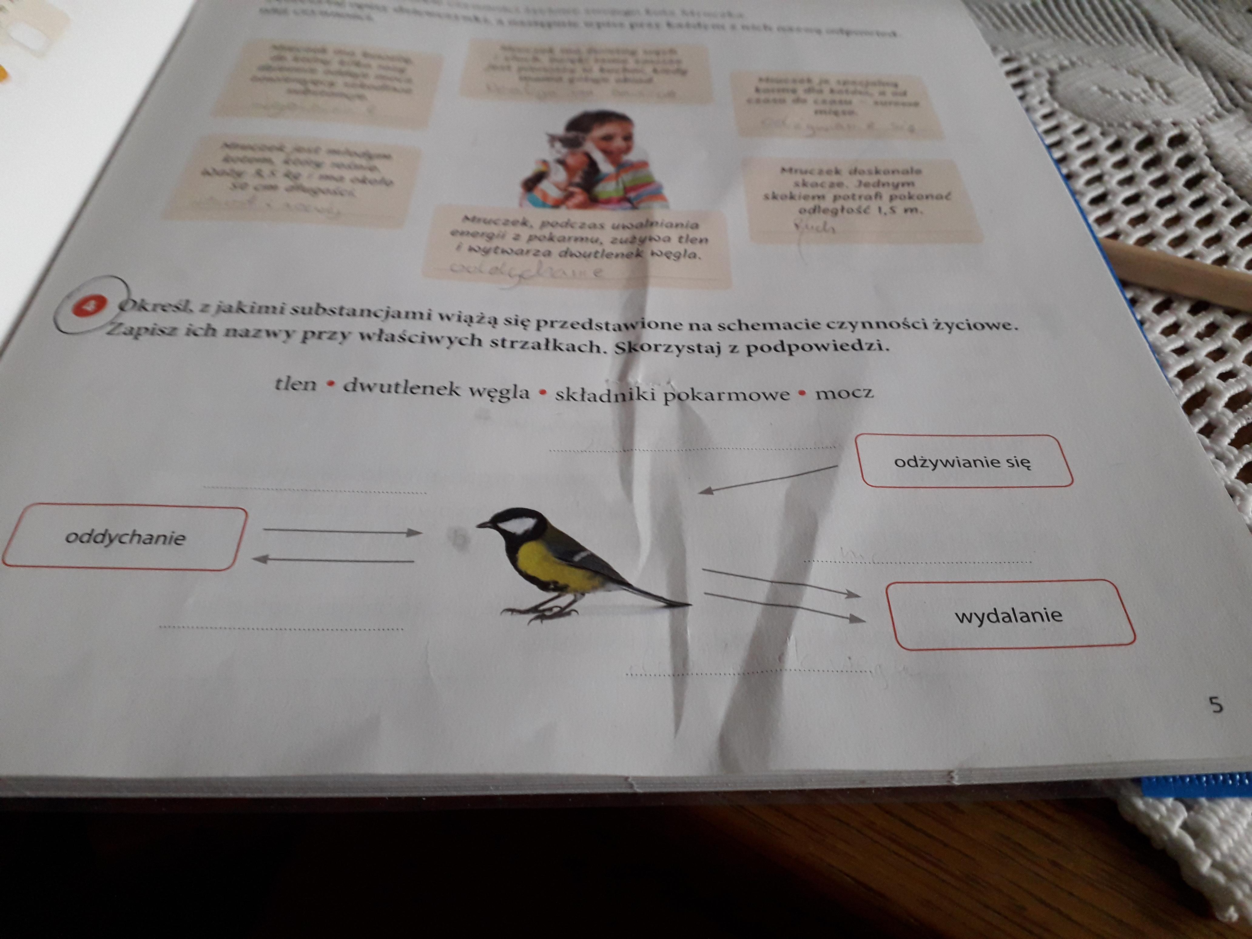 Proszę na już!!!!! Biologia klasa 5 zad 4 str 5 - Brainly.pl Quiz Biologia Klasa 5 Dzial 2