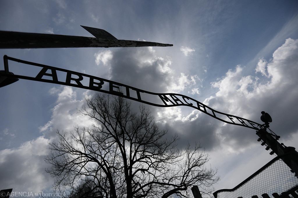 'Proszę państwa do gazu' - opracowanie. Przeczytaj streszczenie i Prosze Panstwa Do Gazu Kanada