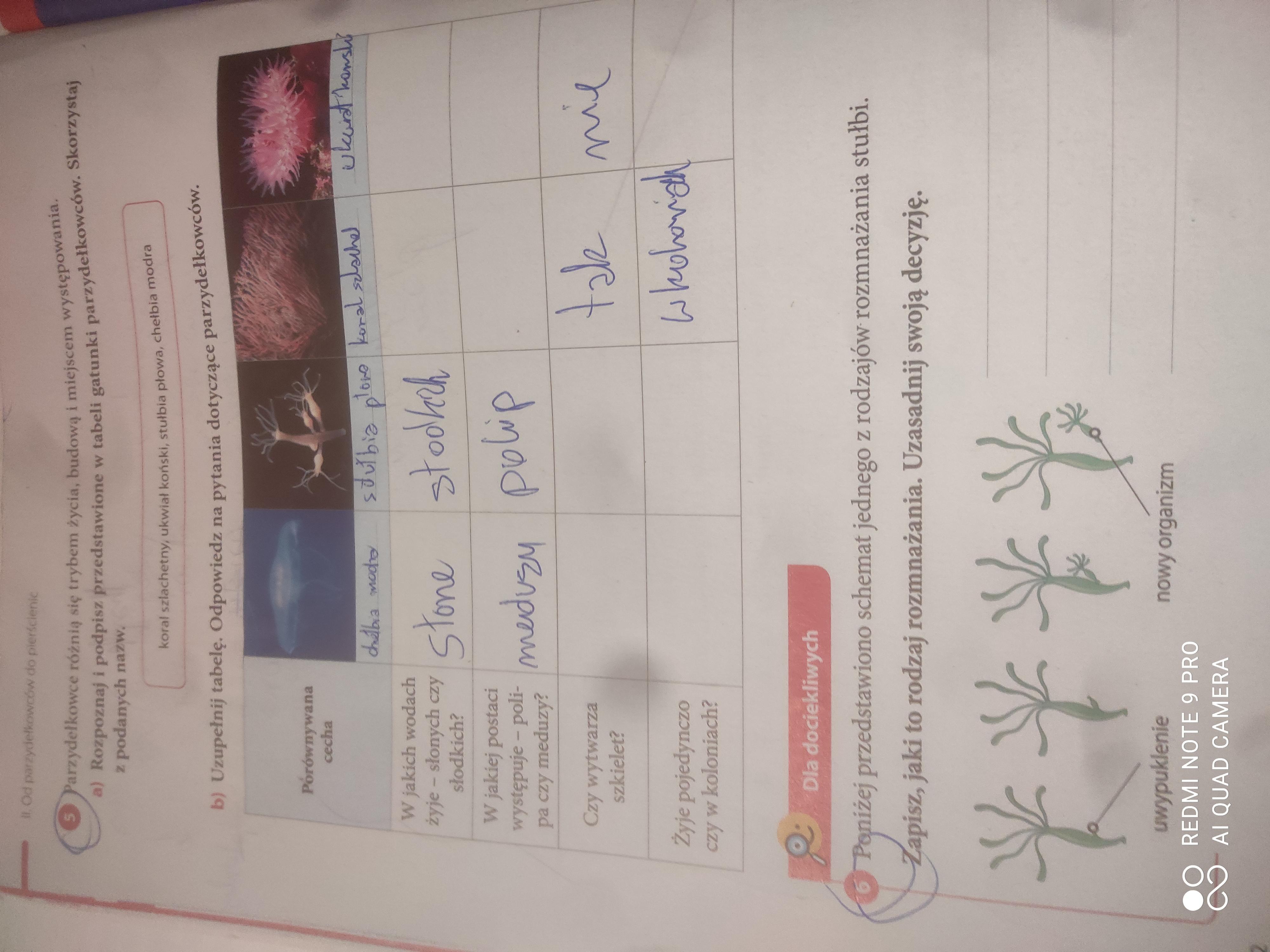 Proszę pomocy to jest biologia klasa 6 ćwiczenia cała strona 22 Cwiczenia Do Biologii Klasa 6