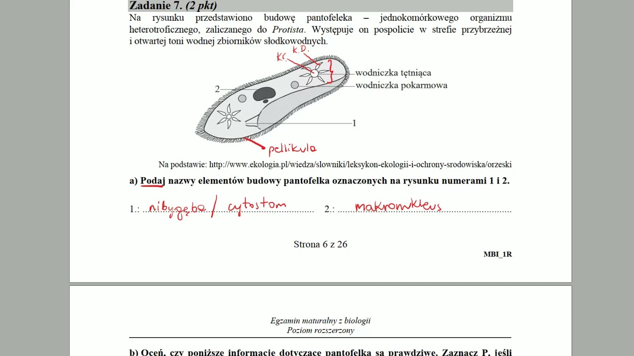 Sprawdzian Z Protisto