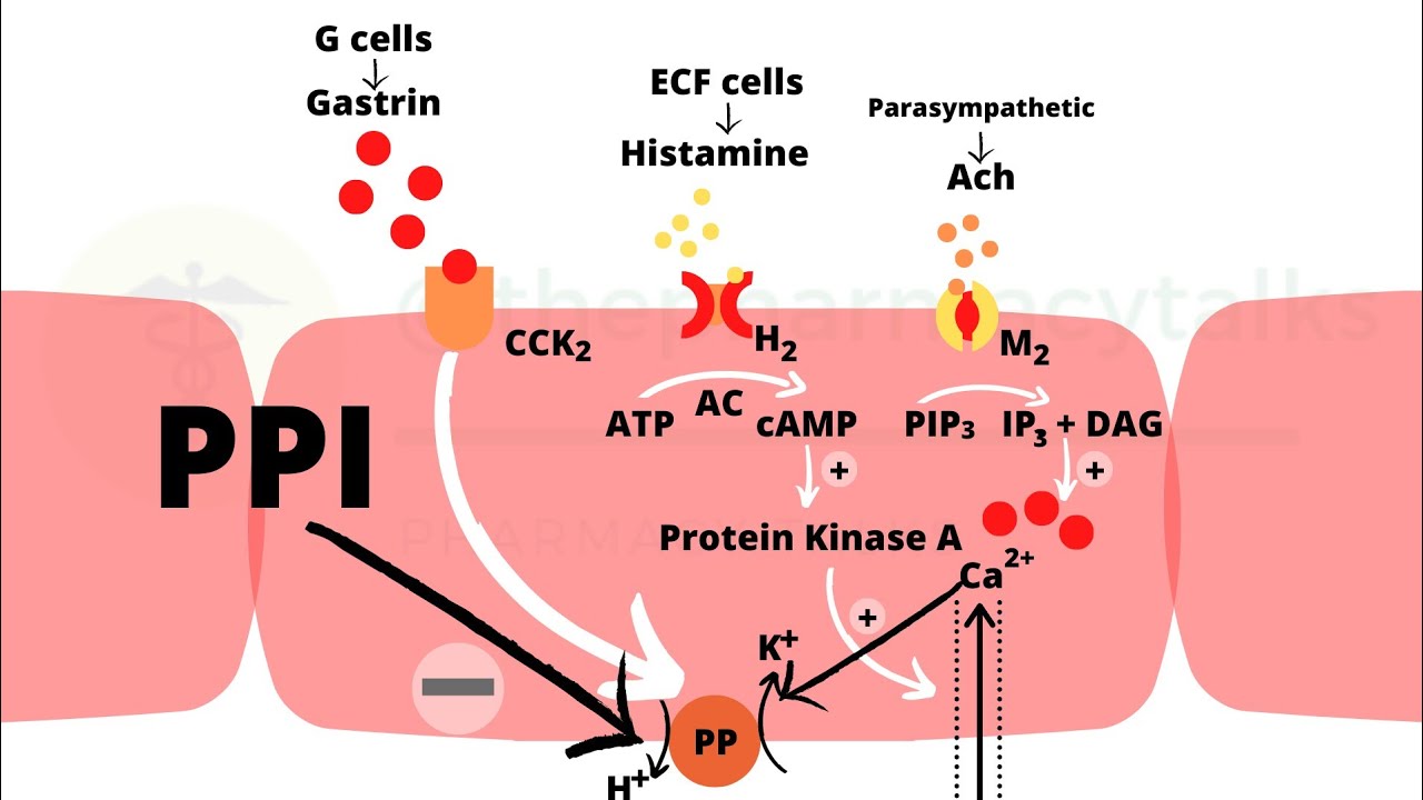 Czy Dexilant To Inhibitor Pompy Protonowej