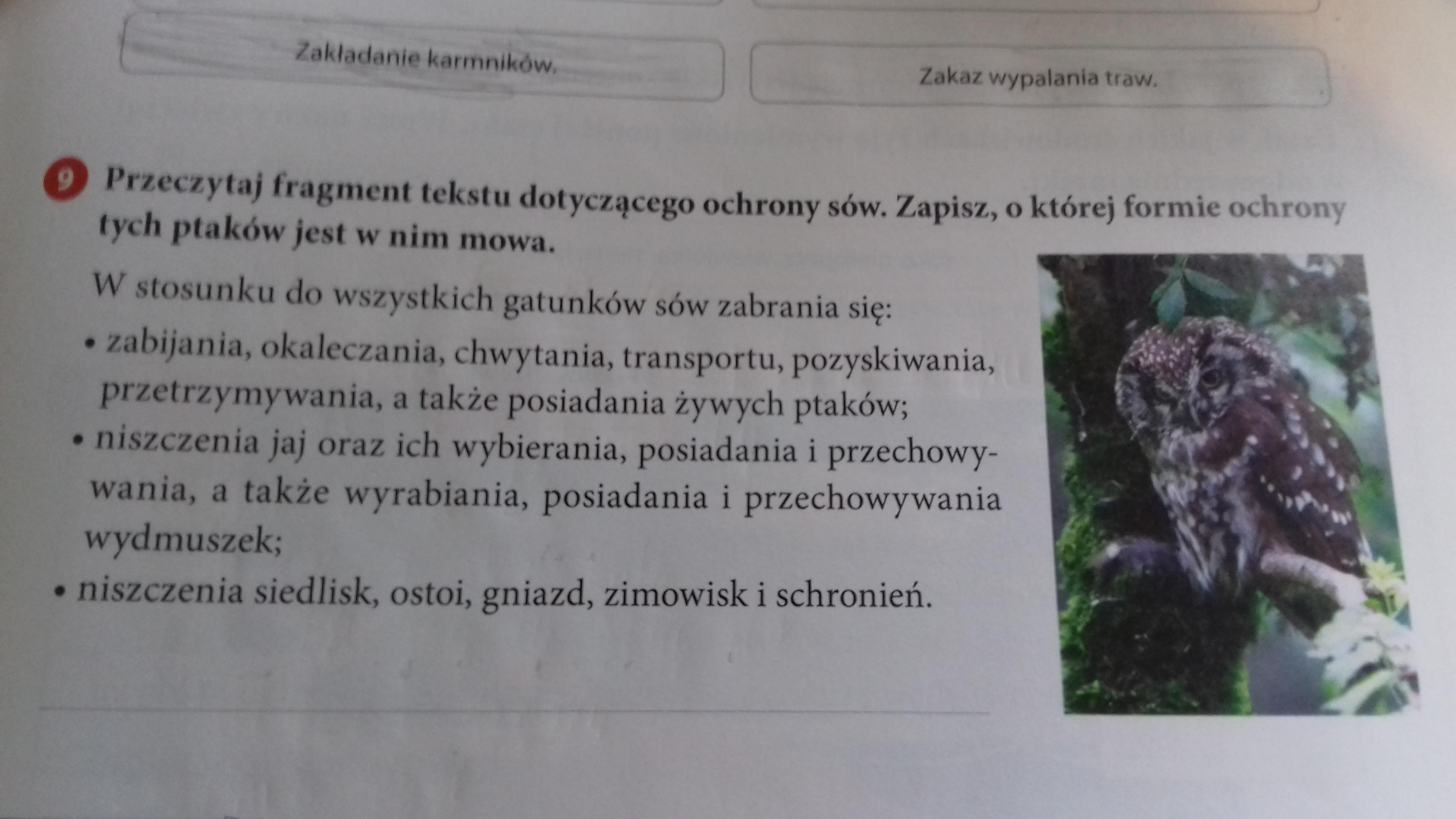Przeczytaj Fragment Tekstu Dotyczącego Ochrony Sów