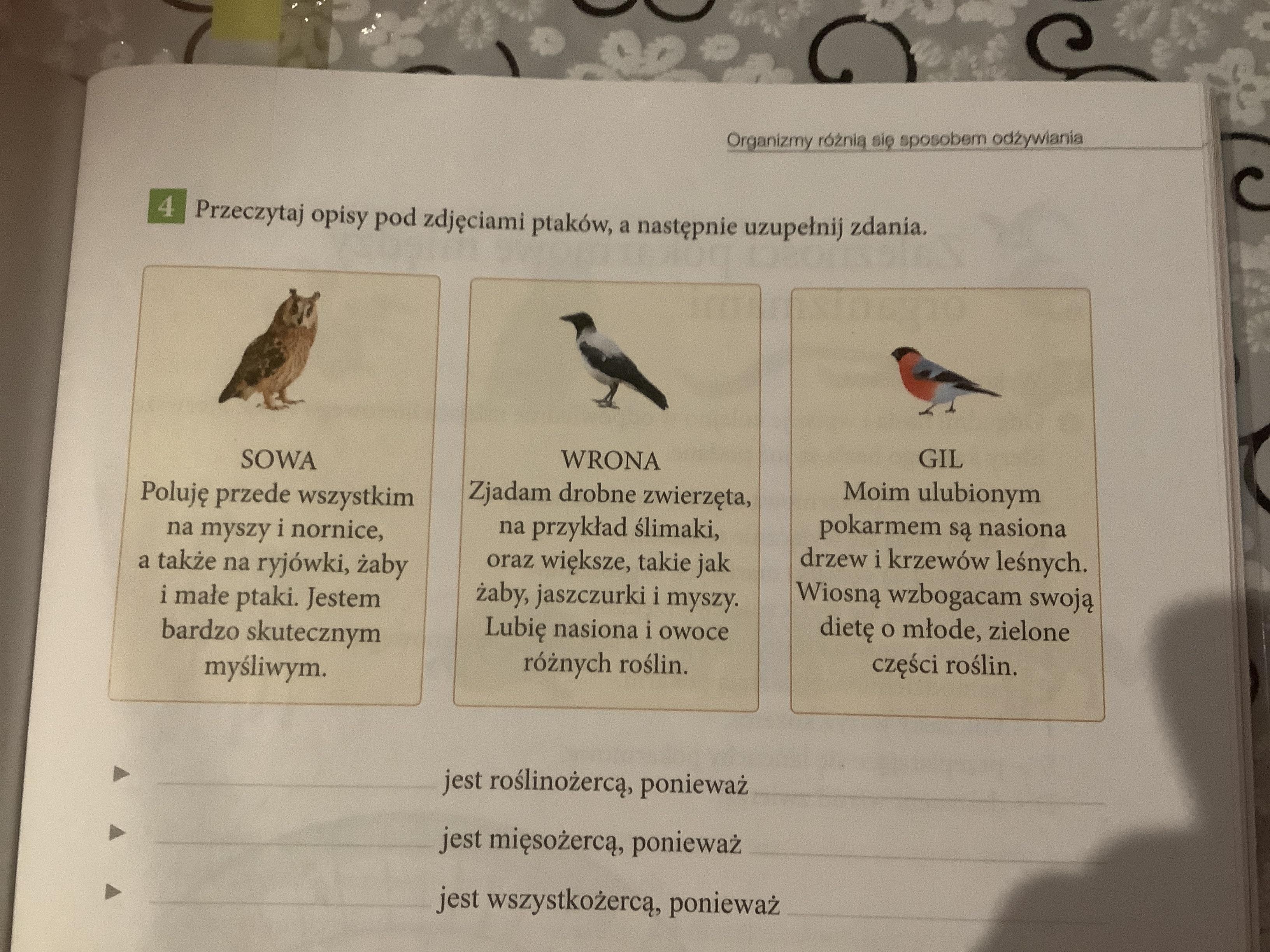 Przeczytaj Opisy Pod Zdjęciami Ptaków A Następnie Uzupełnij Zdania