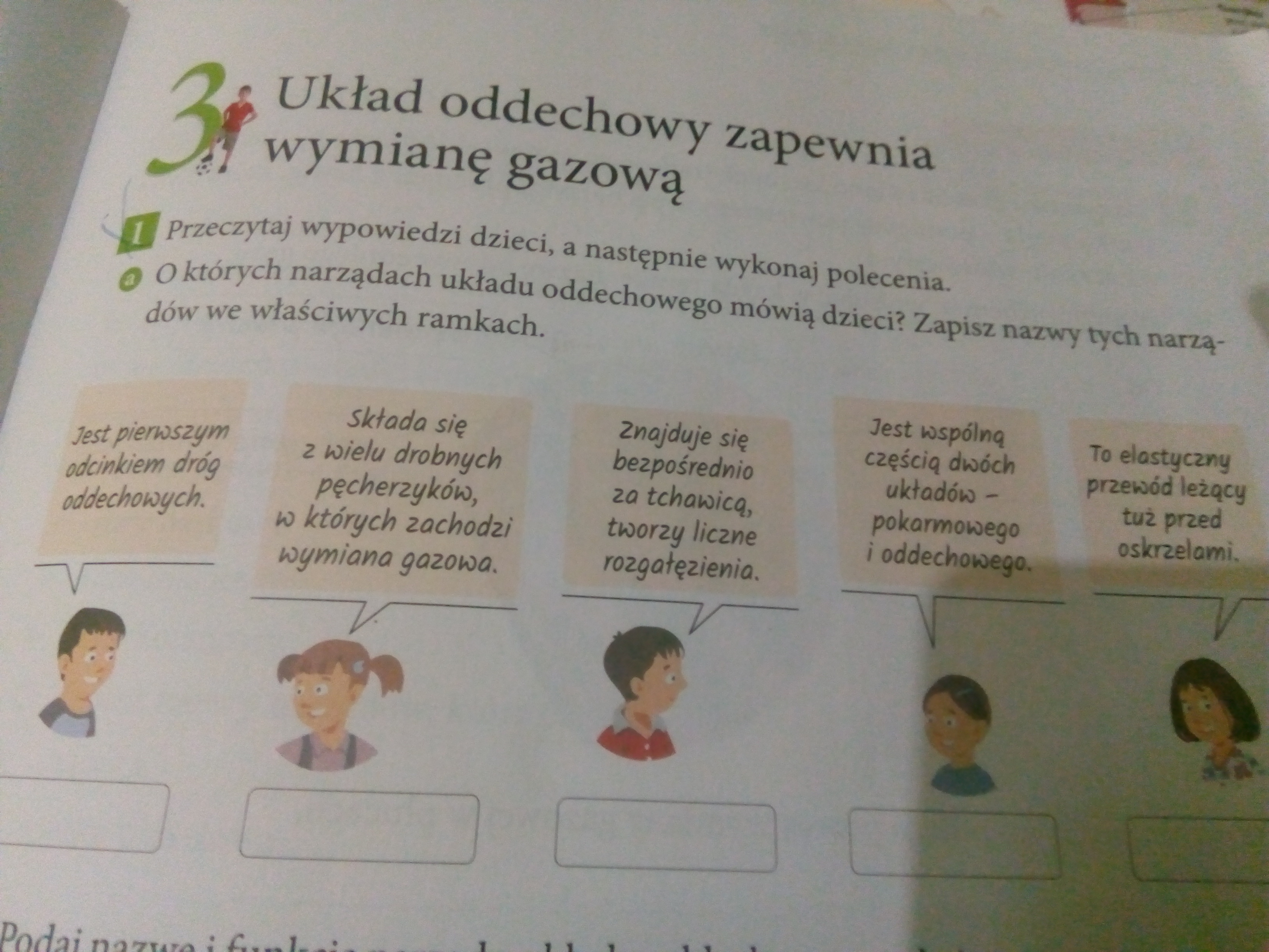 Przeczytaj Wypowiedzi Dzieci Dotyczące środowiska życia Płazów