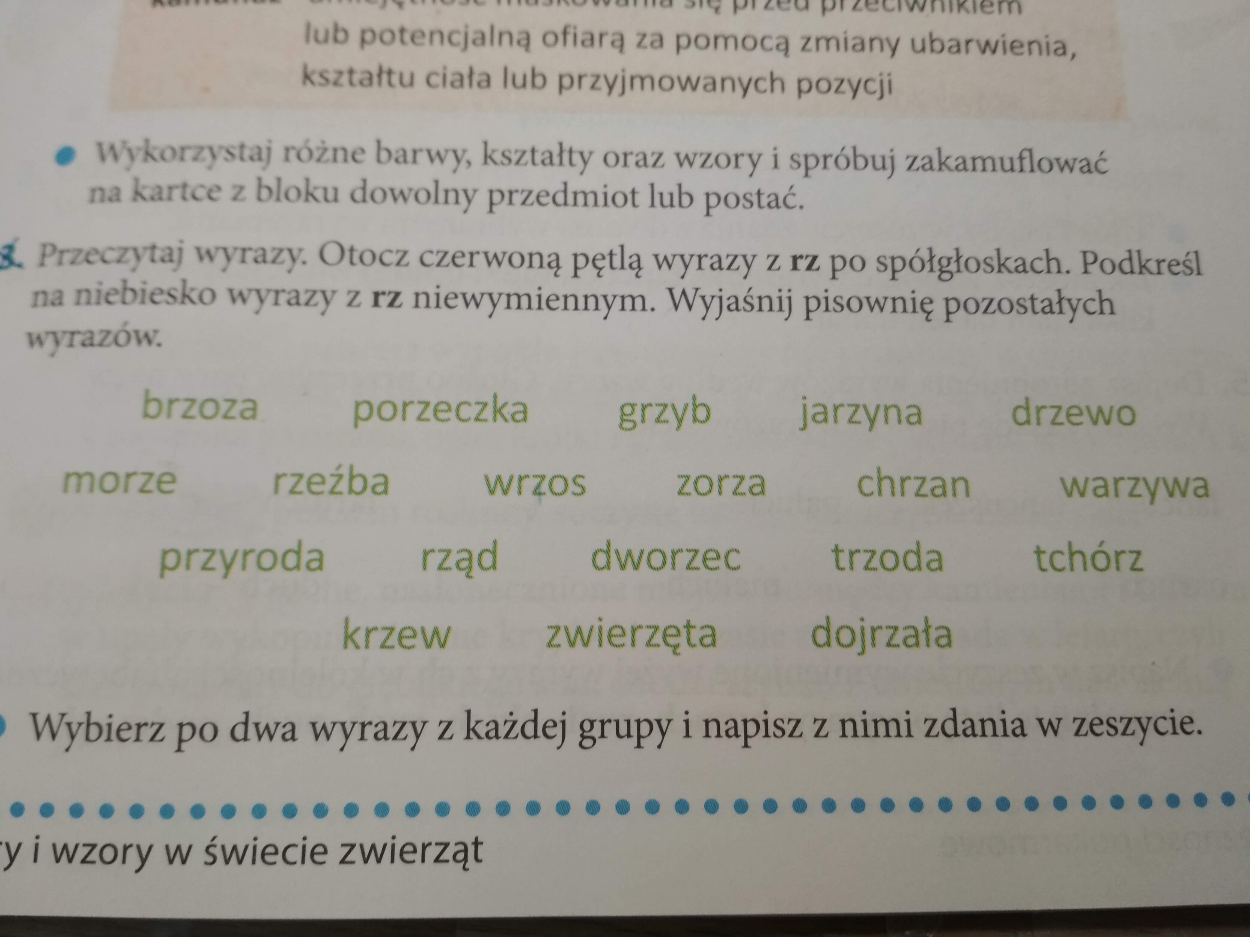 Przeczytaj wyrazy otocz czerwoną pętlą wyrazy z rz po spółgłoskach Wyrazy Z Rz Niewymiennym Klasa 2
