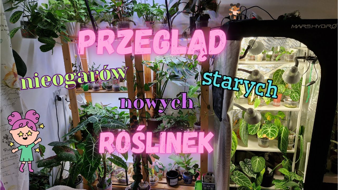 Kultura Konwergencji Zderzenie Starych I Nowych Mediów