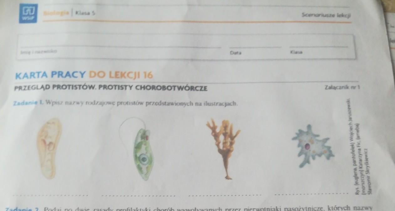 PRZEGLĄD PROTISTÓW. PROTISTY CHOROBOTWÓRCZEZałącznikZadanie 1. Wpisz Sprawdzian Z Protistow Nowa Era