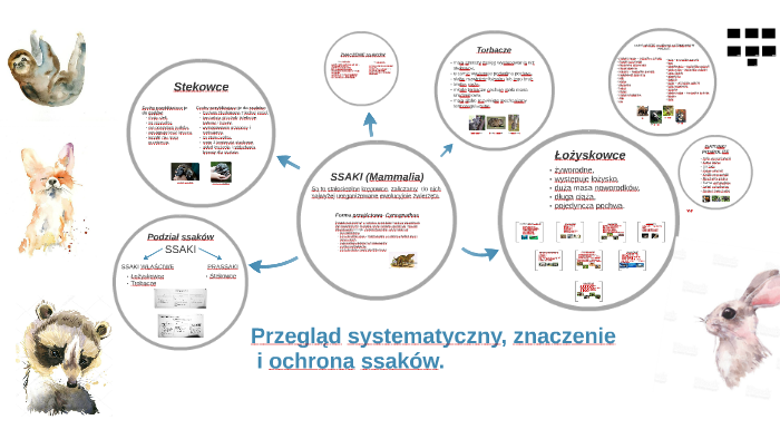 Znaczenie Ssaków W życiu Człowieka
