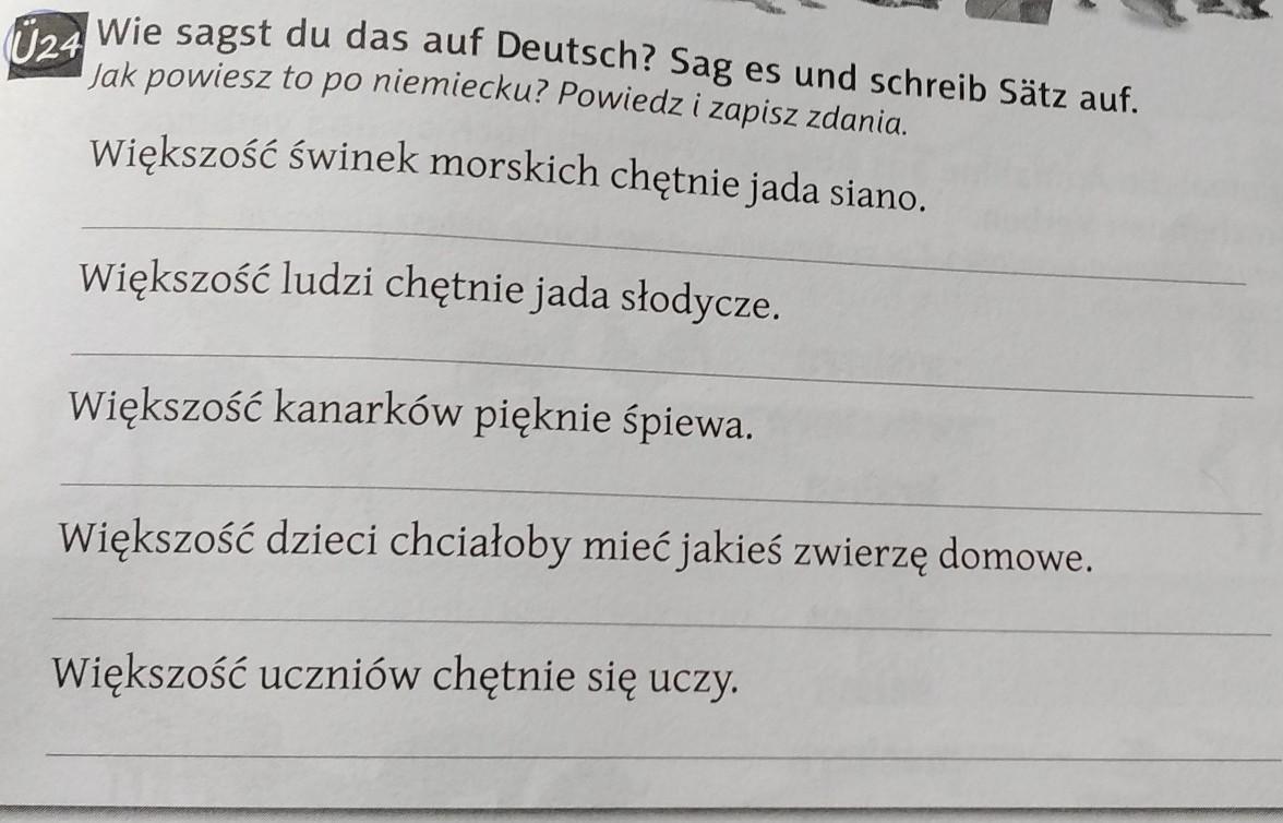 Przetłumacz Na Język Polski Zaimki Pytające I Uzupełnij Nimi Zdania Przetlumacz Na Jezyk Polski Zaimki Pytajace I Uzupelnij Nimi Zdania