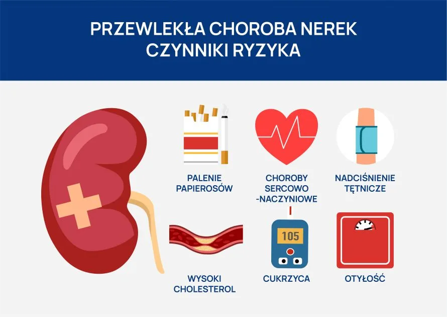 Przewlekłe Cewkowo śródmiąższowe Zapalenie Nerek
