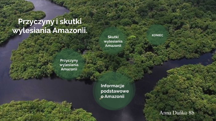 Podaj Trzy Skutki Wylesiania Amazonii