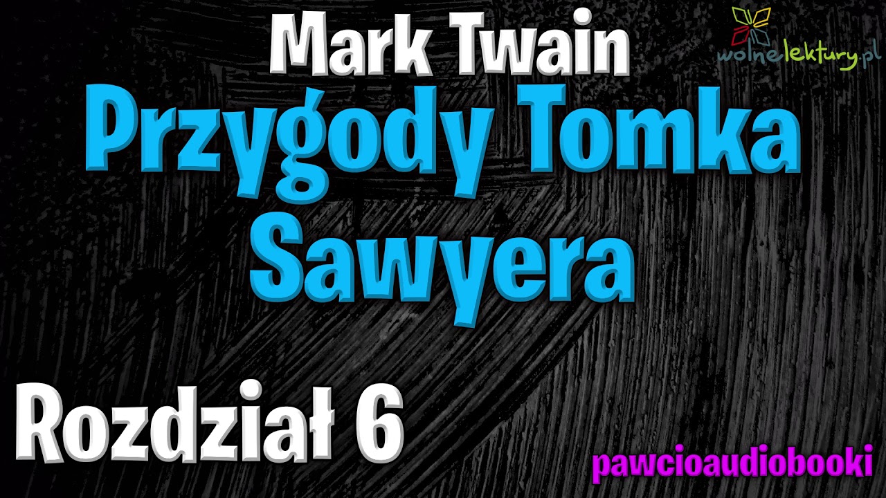 Przygody Tomka Sawyera Rozdzial 6