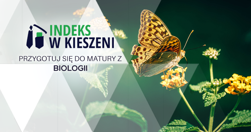 Przygotowanie Do Matury Z Biologi