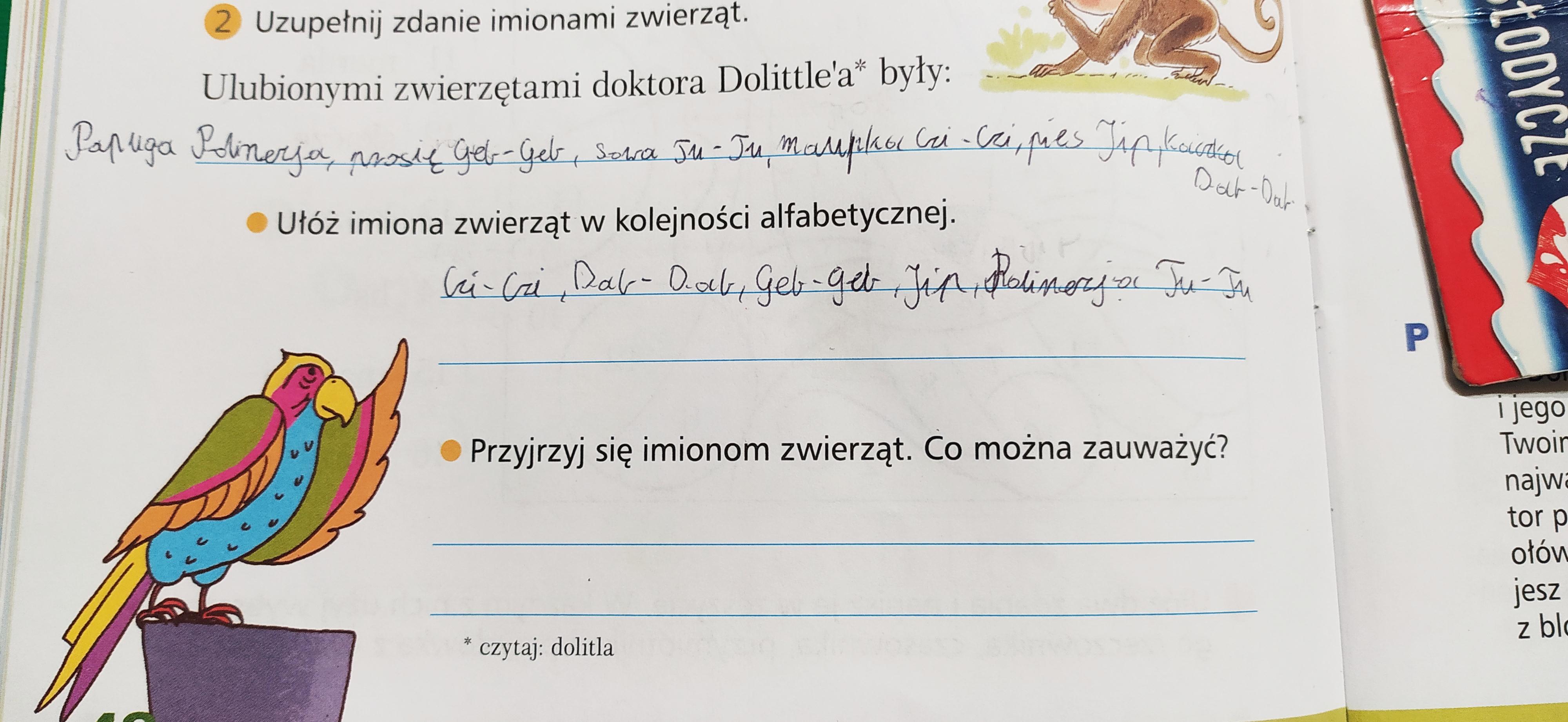 Przyjrzyj Sie Imionom Zwierzat Co Mozna Zauwazyc