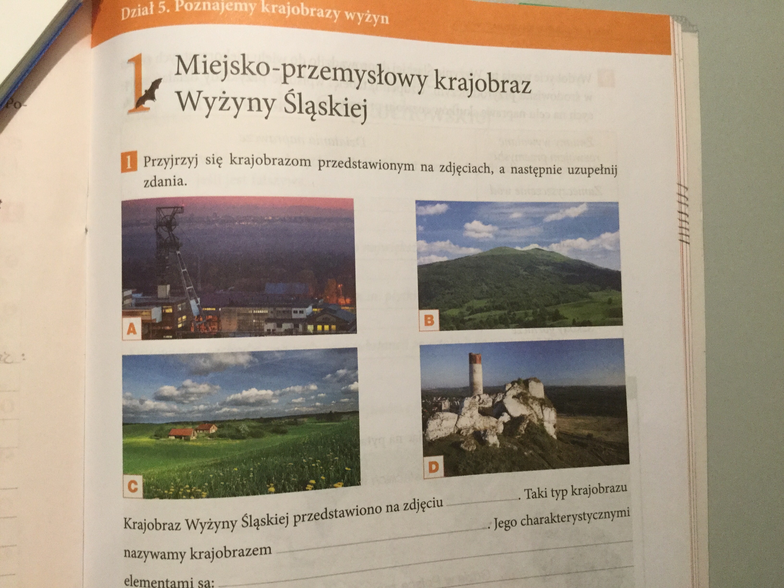 Przyjrzyj się krajobrazem nas w przedstawionych na zdjęciach następnie Sprawdzian Z Przyrody Klasa 5 Poznajemy Krajobrazy Nizin Odpowiedzi