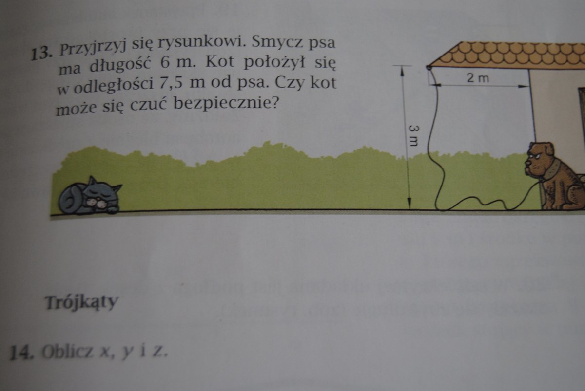 Przyjrzyj się rysunkowi . Smycz psa ma długość 6 metrów. Kot położył Przyjrzyj Się Rysunkowi Smycz Psa Ma Długość 6 M