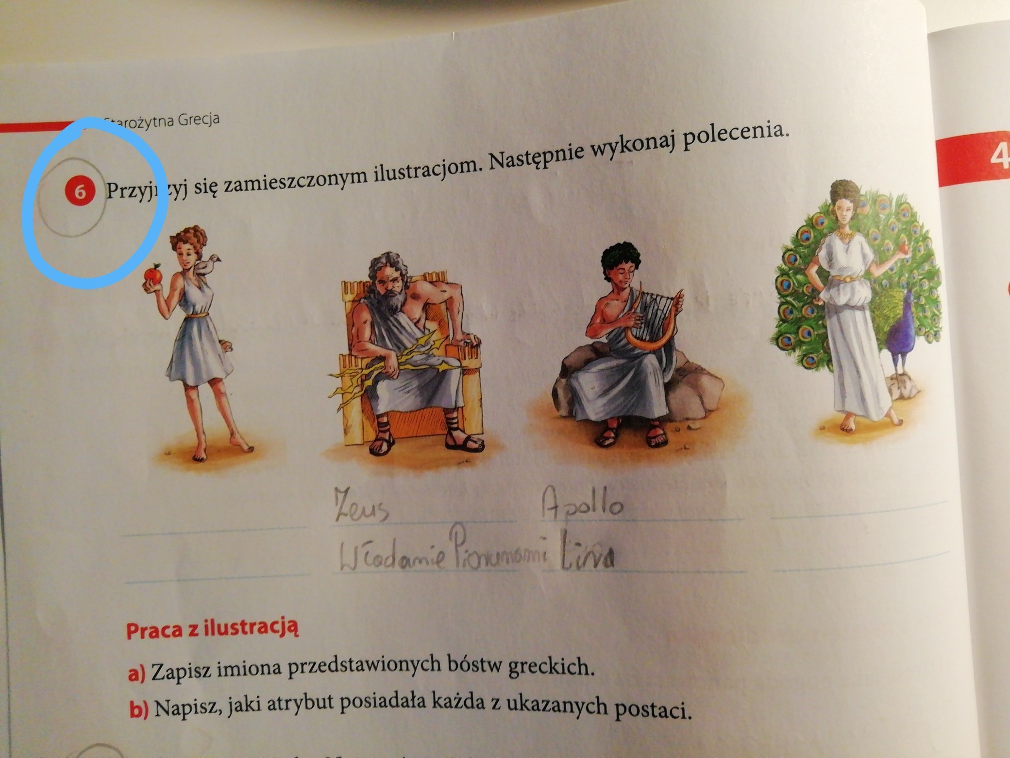 Przyjrzyj Się Zamieszczonym Ilustracjom Następnie Wykonaj Polecenia