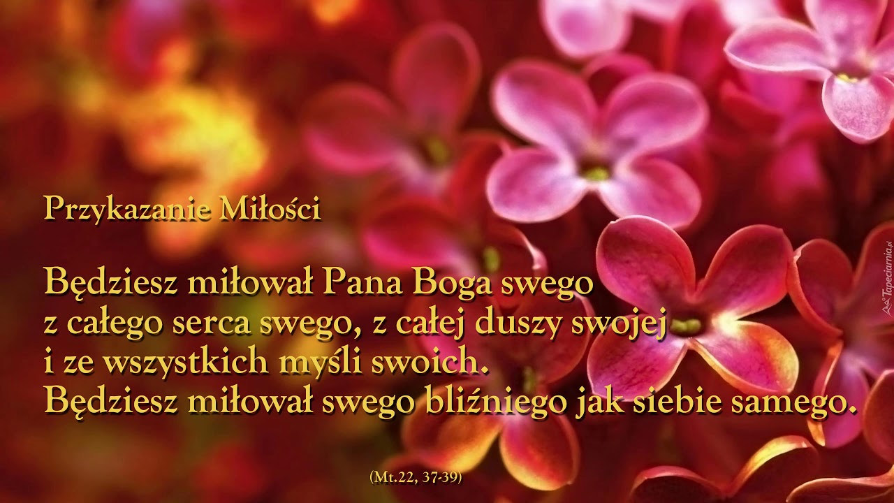 Przykazanie miłości Boga i bliźniego - YouTube Dlaczego Człowiek Szuka Boga I Pragnie Go Poznać