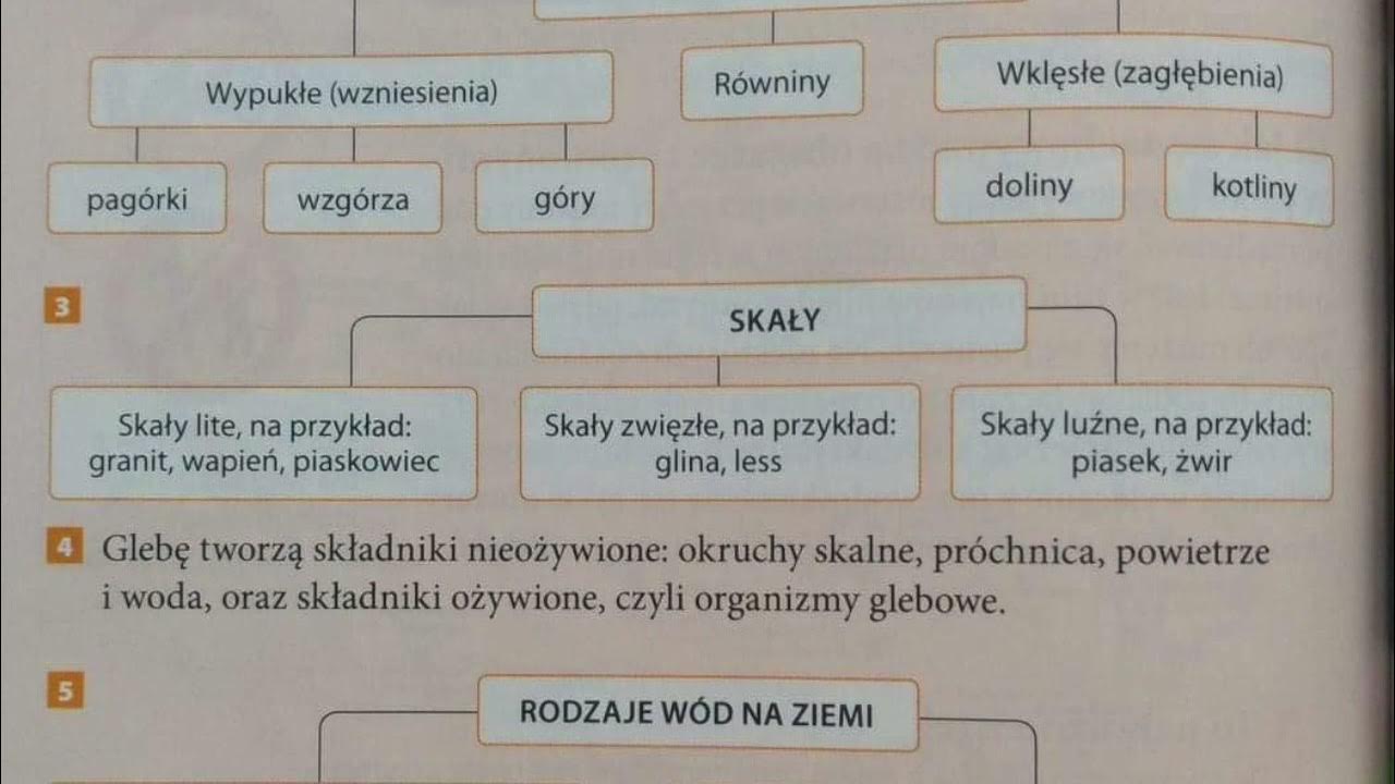 Przyroda 4 Podsumowanie działu 7 - YouTube Test Przyroda Klasa 4 Dzial 7