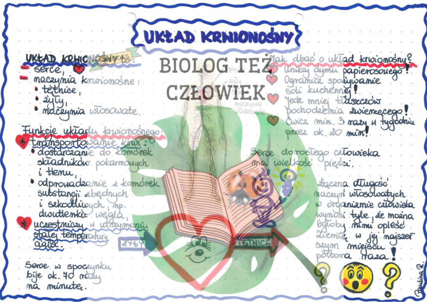 Biologia Klasa 7 Sprawdzian Uklad Krwionosny