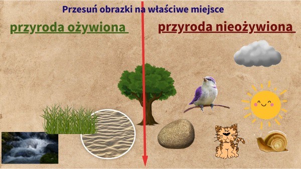 Przyroda i jej składniki | Biology - Quizizz Quiz Przyroda Klasa 4 Dzial 5