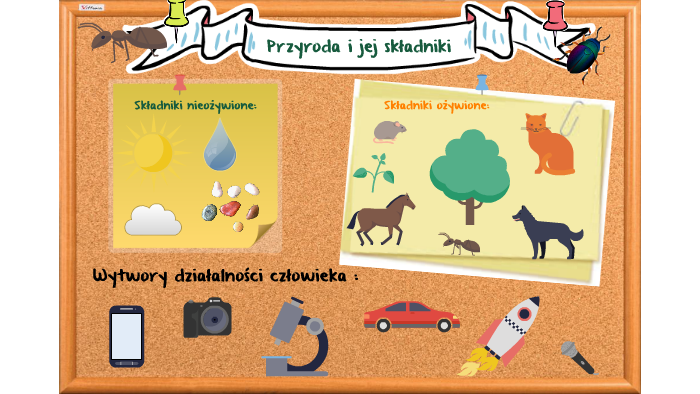 Przyroda i jej składniki by Aleksandra Błażejewska on Prezi Przyroda I Jej Składniki Klasa 4
