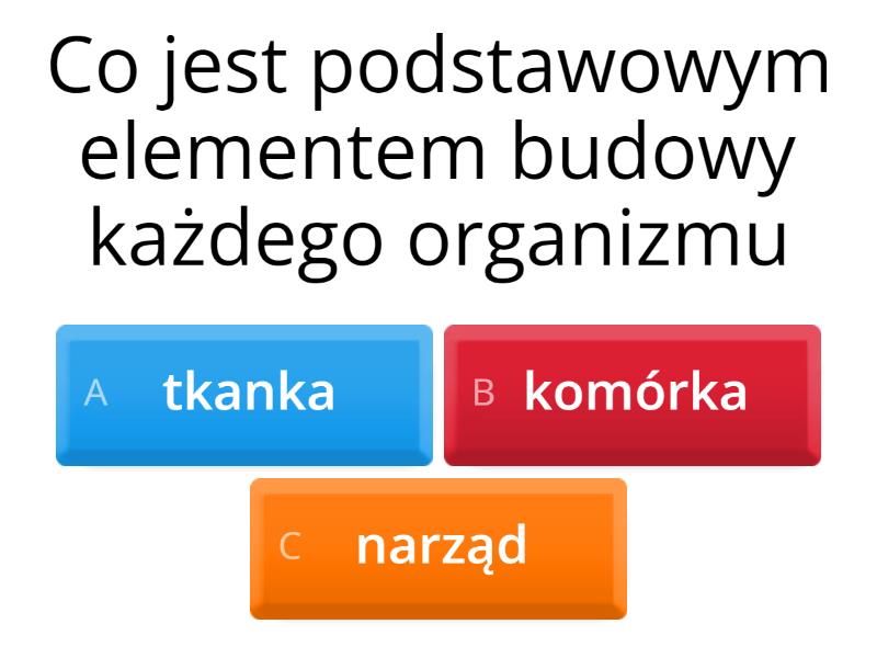 Test Przyroda Klasa 4 Dzial 3