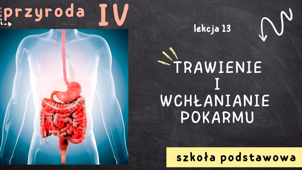 Przyroda klasa 4 [Lekcja 13 - Trawienie i wchłanianie pokarmu] - YouTube Trawienie I Wchłanianie Pokarmu Klasa 4