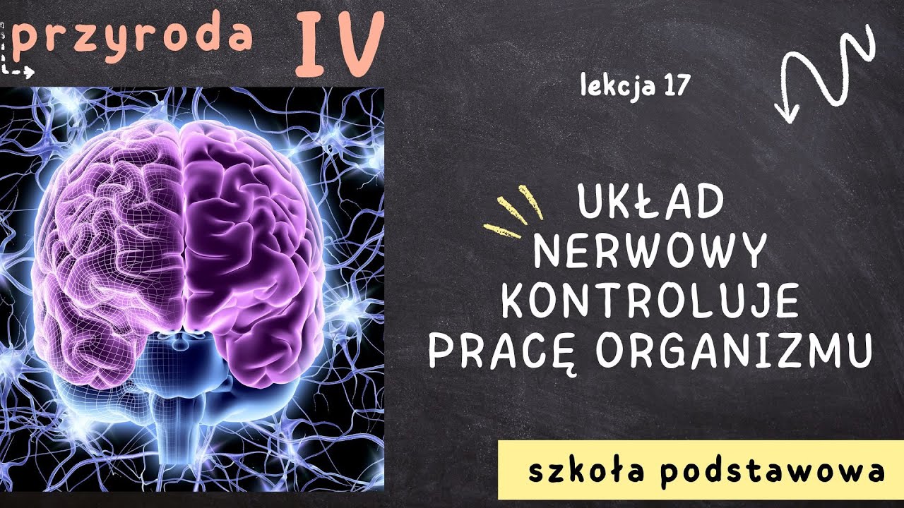 Przyroda klasa 4 [Lekcja 17 - Układ nerwowy kontroluje pracę organizmu Test Przyroda Klasa 4 Uklad Nerwowy