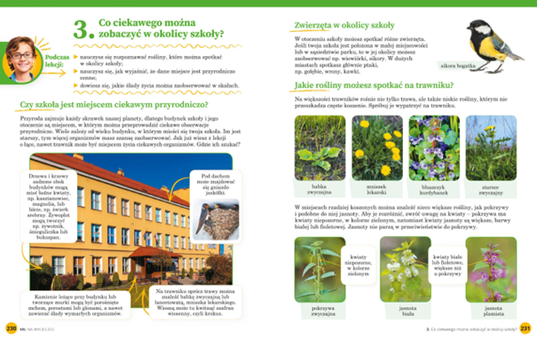 Przyroda Klasa 4 Wsip