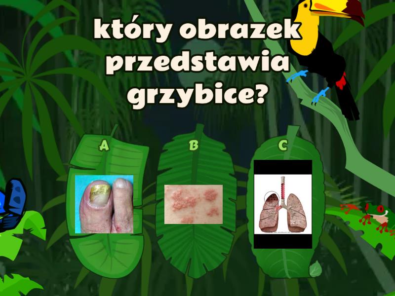 Test Przyroda Klasa 4 Dzial 7