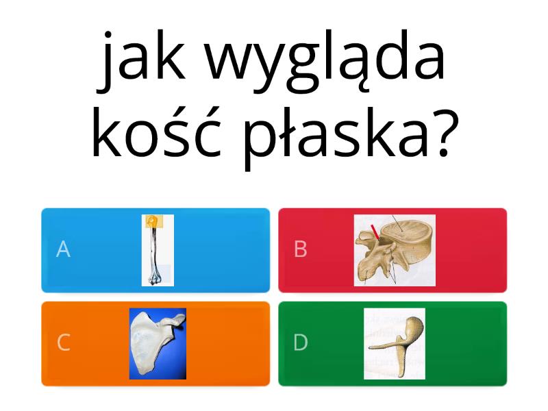 Test Diagnozujący Klasa 4 Przyroda