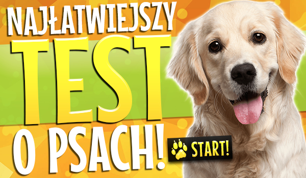 Quizy O Psach Jakim Psem Jesteś