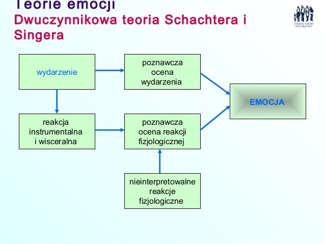 Henryk Gasiul Teorie Emocji I Motywacji Pdf
