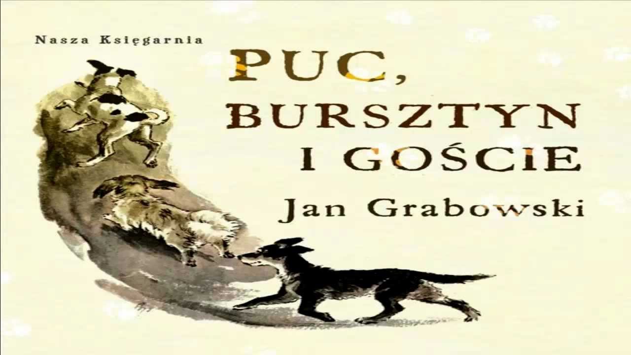 Opis Psa Puca Z Lektury Puc Bursztyn Goscie