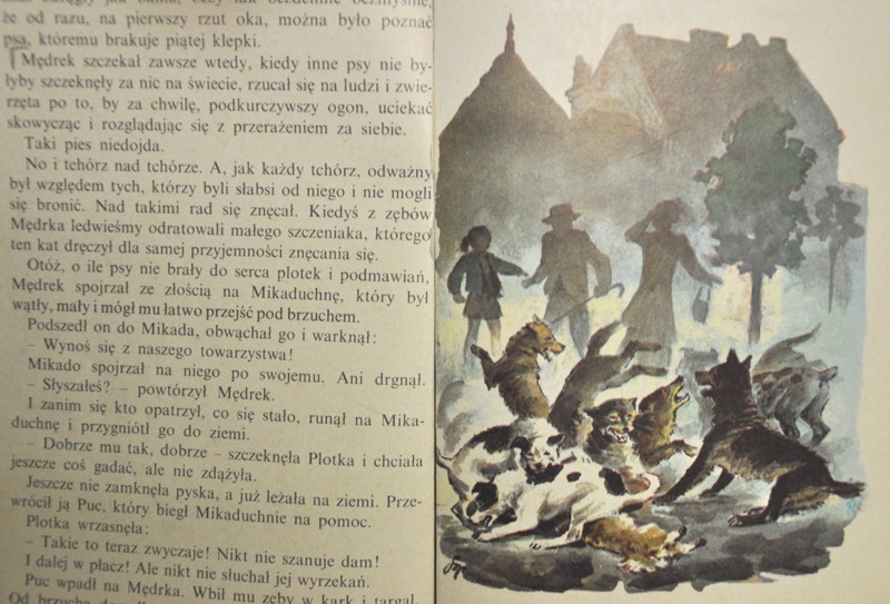 "Puc, Bursztyn i goście" - czy aktualizować szkolne lektury? - książki Lektura Puc Bursztyn I Goscie Pdf
