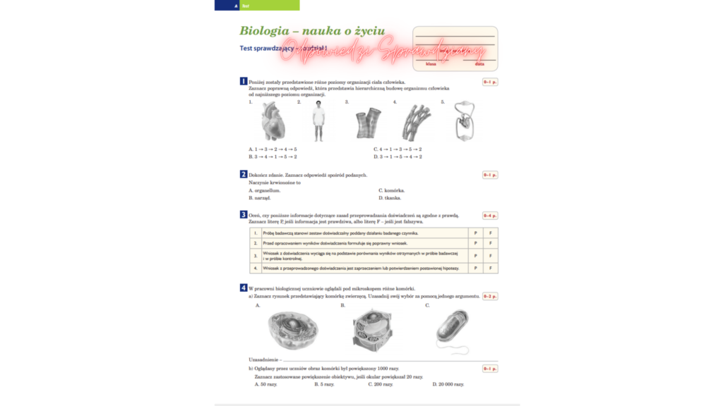 Puls Życia 7 Sprawdziany Odpowiedzi PDF do pobrania 2021 Biologia Klasa 7 Puls Zycia