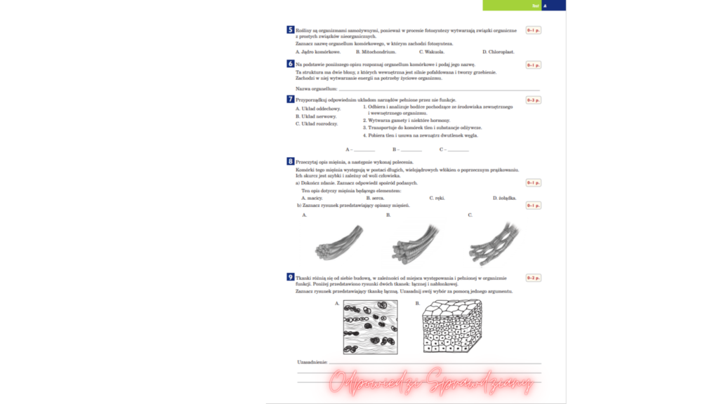Test Z Biologii Klasa 5 Dzial 2 Puls Zycia Pdf