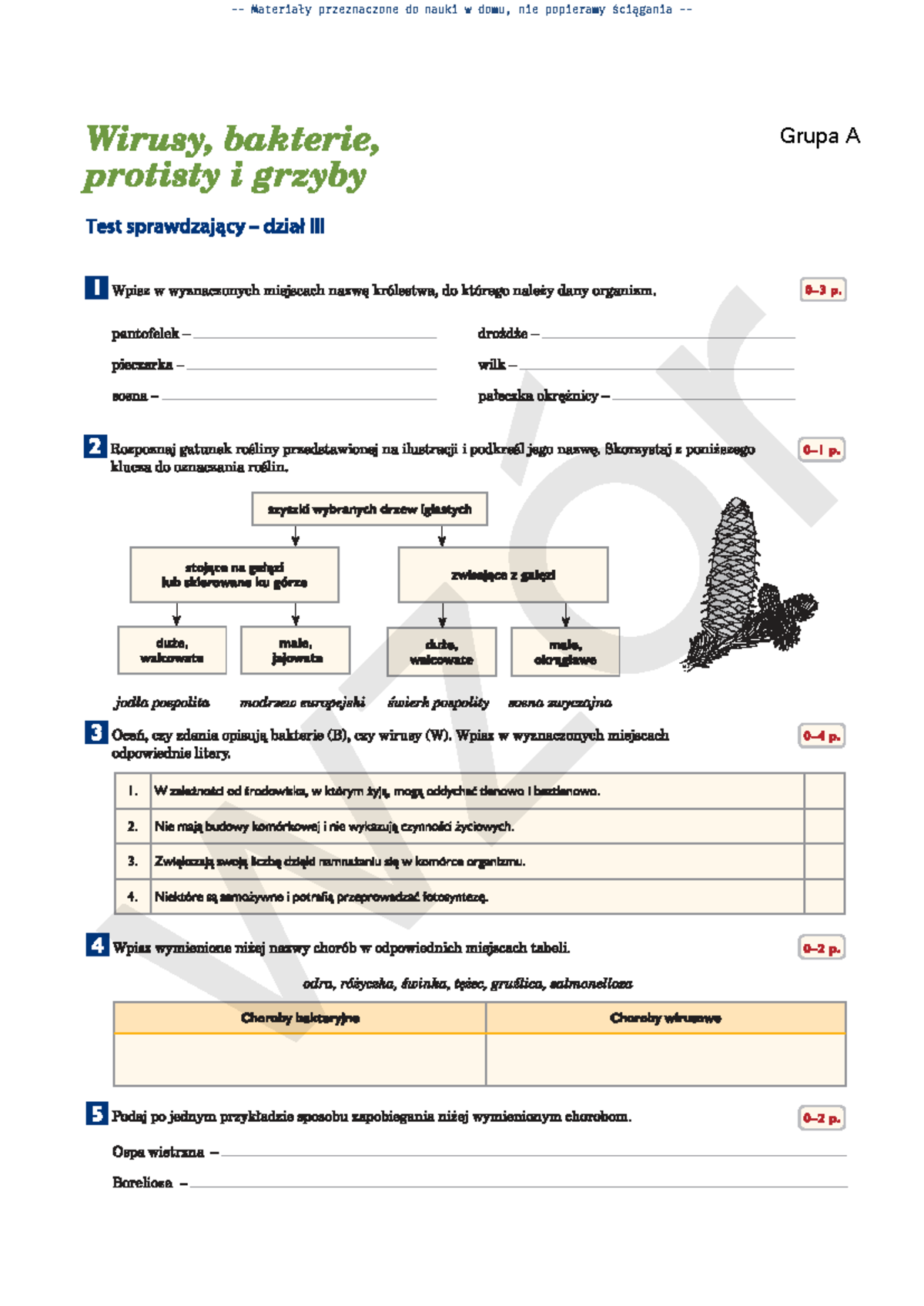 Puls Życia - Klasa 5 - Dział 3 - Sprawdzian - Grupa A z ó r z ó r z ó r Sprawdzia Z Bilogii Klasa 5