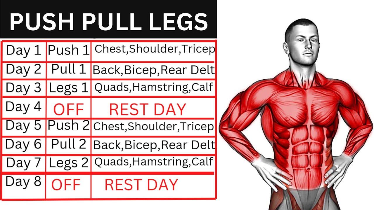 Push Pull Legs Workout Plan - PPL - YouTube Plan Treningowy Push Pull Legs