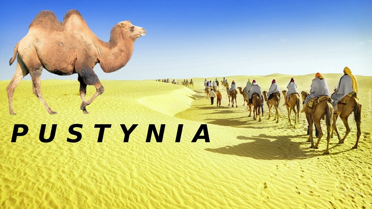 Największe Pustynie W Ameryce Północnej