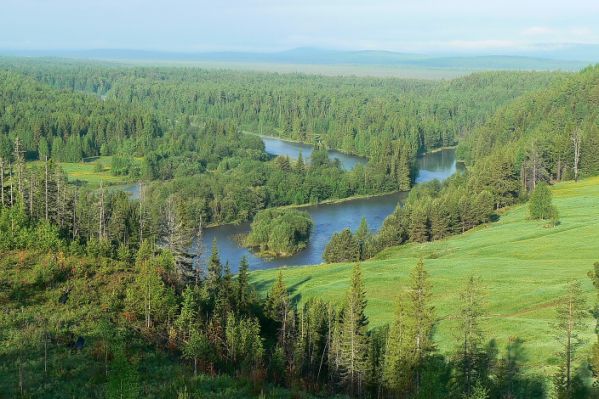 Putokaz - Tajge, moćne šume koje su dom sibirskom tigru i neobičnom Tajga Sąsiaduje Od Północy Ze Strefą