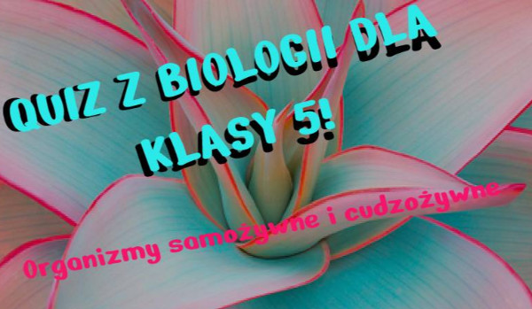 QUIZ Z BIOLOGII - Organizmy samożywne i cudzożywne | sameQuizy Quiz Biologia Klasa 5 Dzial 1