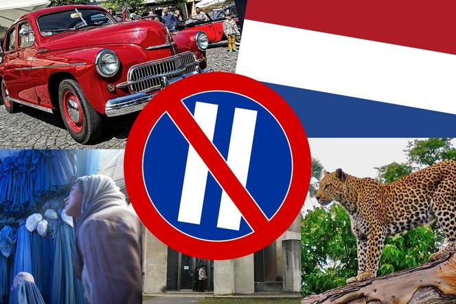 Quiz z wiedzy ogólnej. Uwaga! Tylko dla ambitnych! Czy dasz radę Quiz Wiedzy Ogólnej Dla Gimnazjalistów