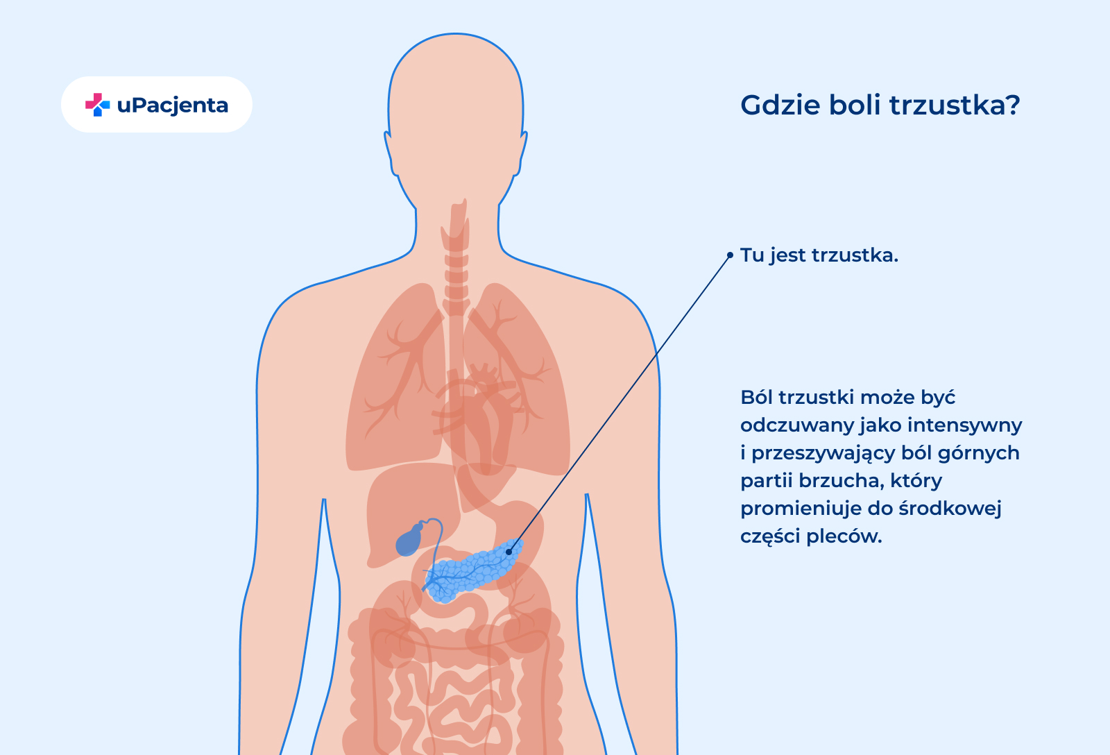 Rak trzustki — objawy, przyczyny, rokowania Zastrzyk Przeciwtężcowy Gdzie Sie Daje